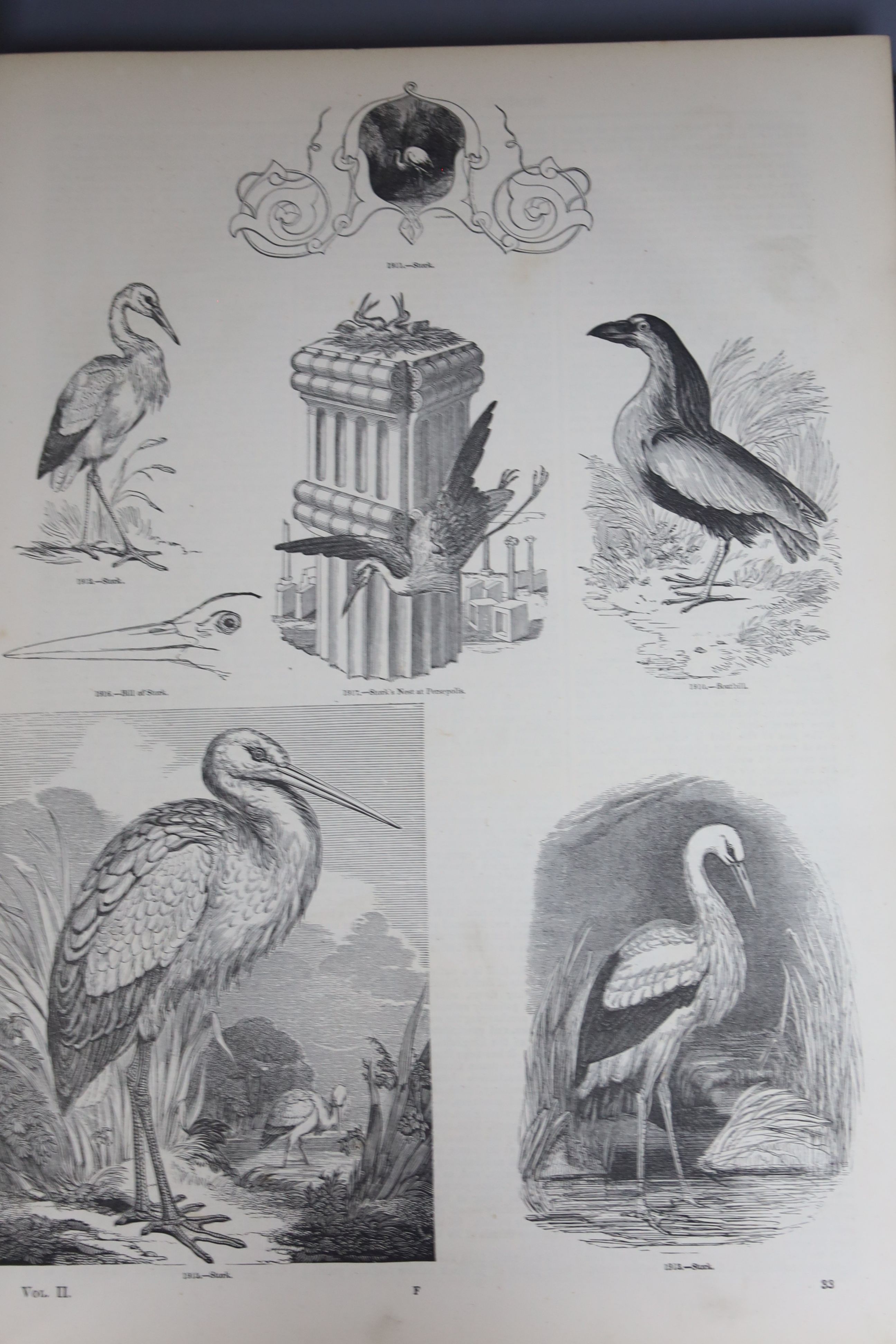 A Charles Knight pictorial museum of animated nature, 2 vols and scenes of the world and beautiful Britain (4)